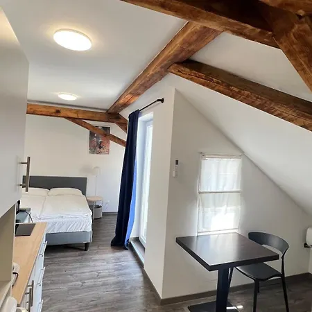 Zhang Apartment Graz